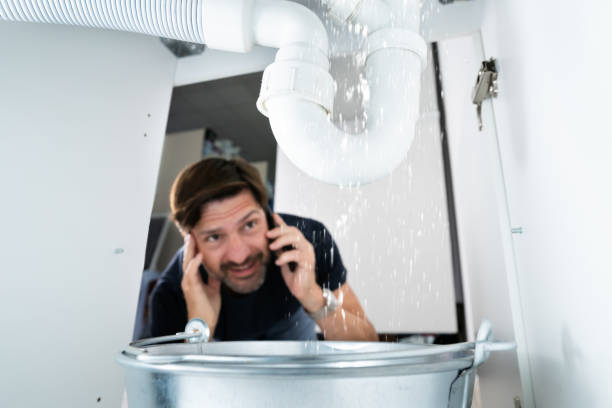 Best Faucet Repair  in Plymouth, MI