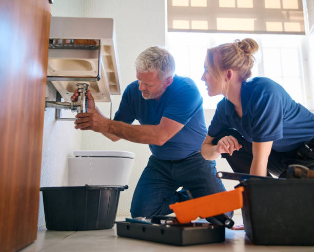 Best Faucet Repair  in Plymouth, MI